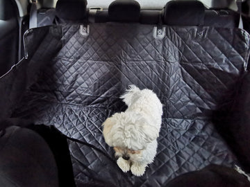 Tapis de voiture pour animaux de compagnie